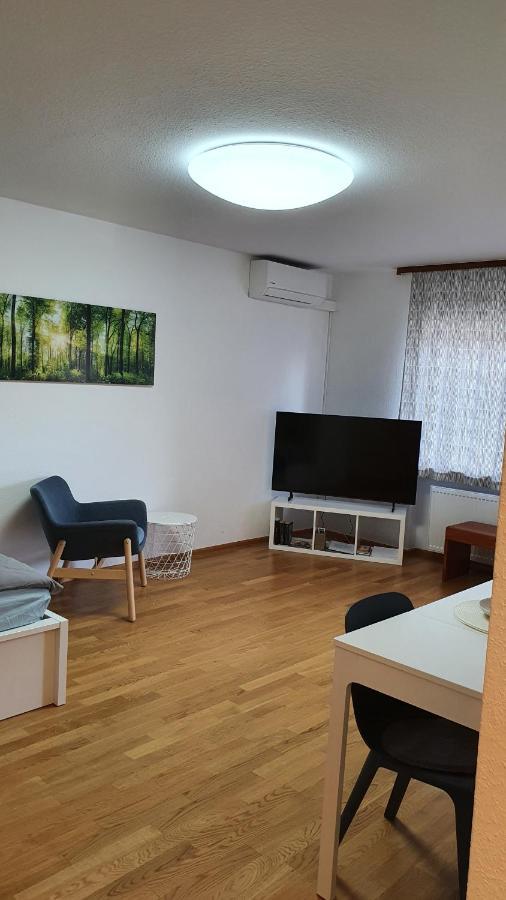 Wohnung Am Neckar Heidelberg Exteriér fotografie