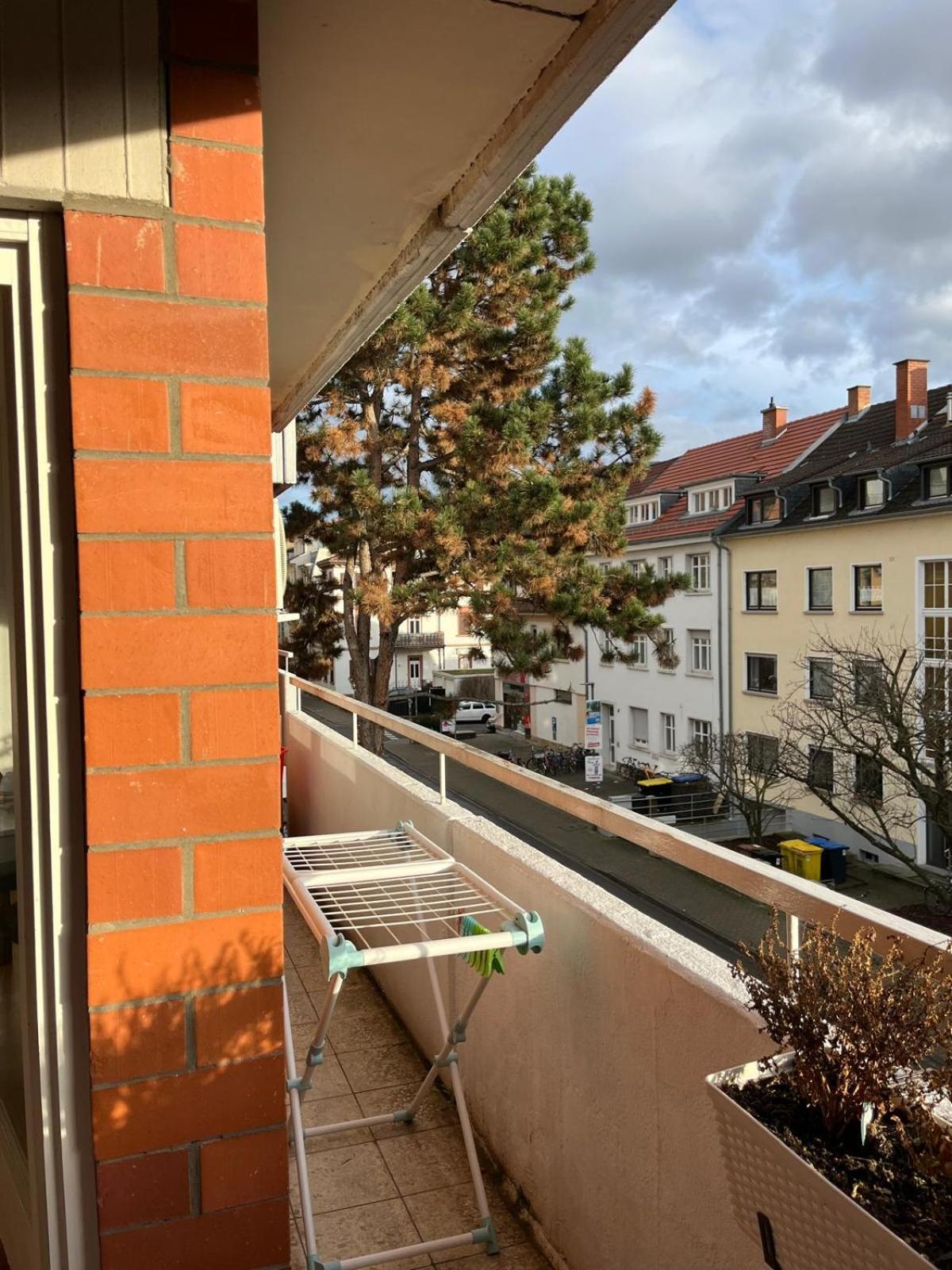 Wohnung Am Neckar Heidelberg Exteriér fotografie