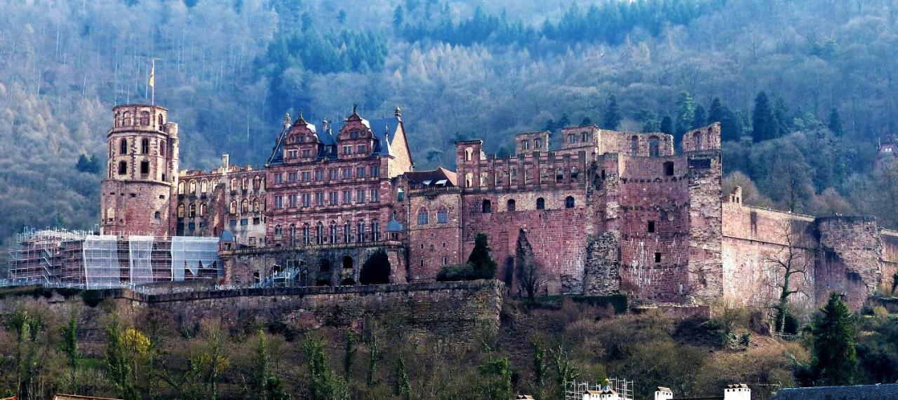 Wohnung Am Neckar Heidelberg Exteriér fotografie